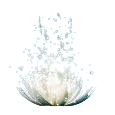 Soin dans la bienveillance et l'ouverture d'esprit via Neuroptimal comme le lotus est symbole de pureté et d'épanouissement personnel