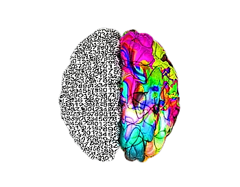 Description des fantastiques caractéristiques de notre cerveau qui sera booster par la méthode Neurofeedback Dynamique